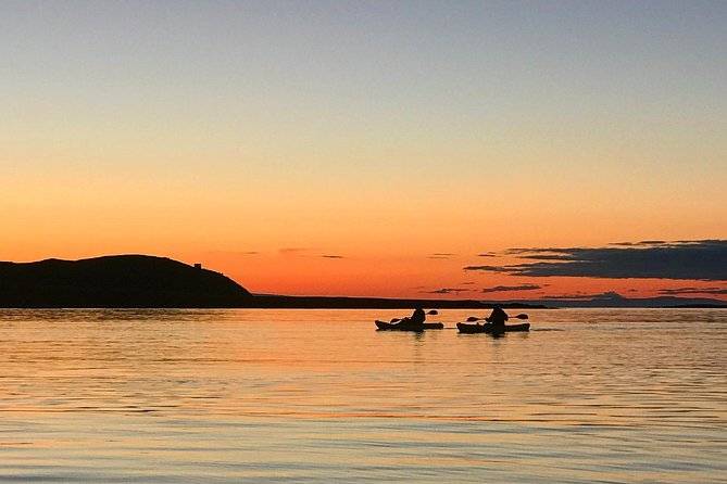 Midnight Sun Kayaking Adventure by Mt. Kirkjufell - Wildlife spotting in the harbor, not from a roadside viewpoint