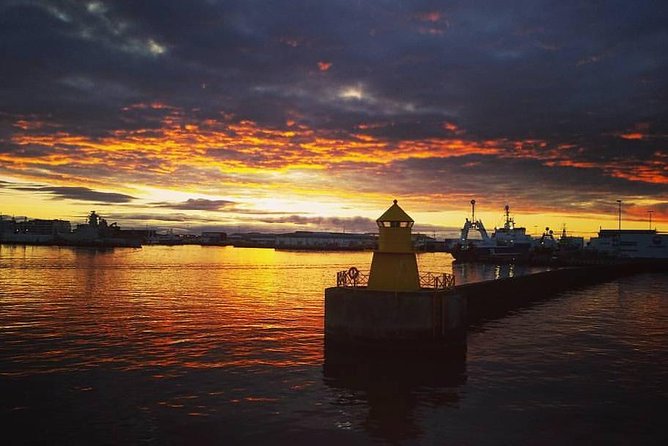 Midnight Sun Whale Watching from Reykjavik - Price, group size, and who this tour fits best