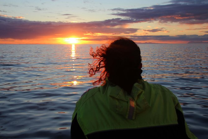 Midnight Sun Whale Watching from Reykjavik - Warmth, WiFi, and sea-sickness help on a 2.5-hour cruise