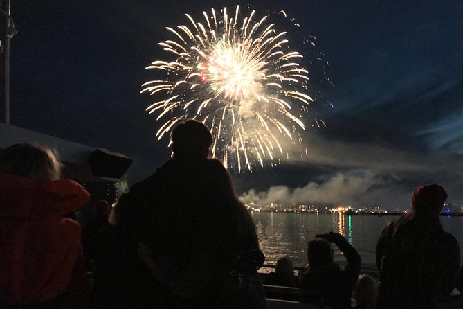 New Year's Eve Fireworks Cruise in Reykjavik - Who should book this Reykjavik fireworks cruise?