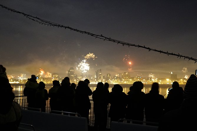 New Year's Eve Fireworks Cruise in Reykjavik - Faxaflói Bay fireworks views: what you’ll actually see