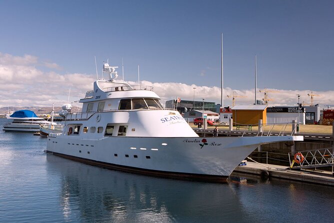 New Year's Eve Reykjavík Cruise - Who This Cruise Suits Best (and Who Might Skip)