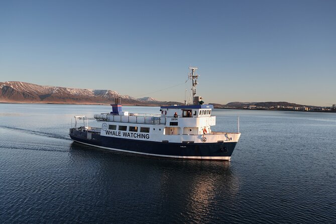 New Years Fireworks by Boat from Reykjavik - Price and value: what 166 dollars really buys