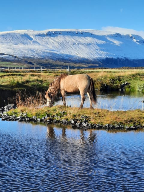 North Iceland: Horseback Riding Tour - Key highlights to look for