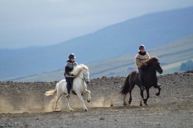 North Iceland: Horseback Riding Tour - North Iceland horseback riding on Lava Horses: what makes it memorable