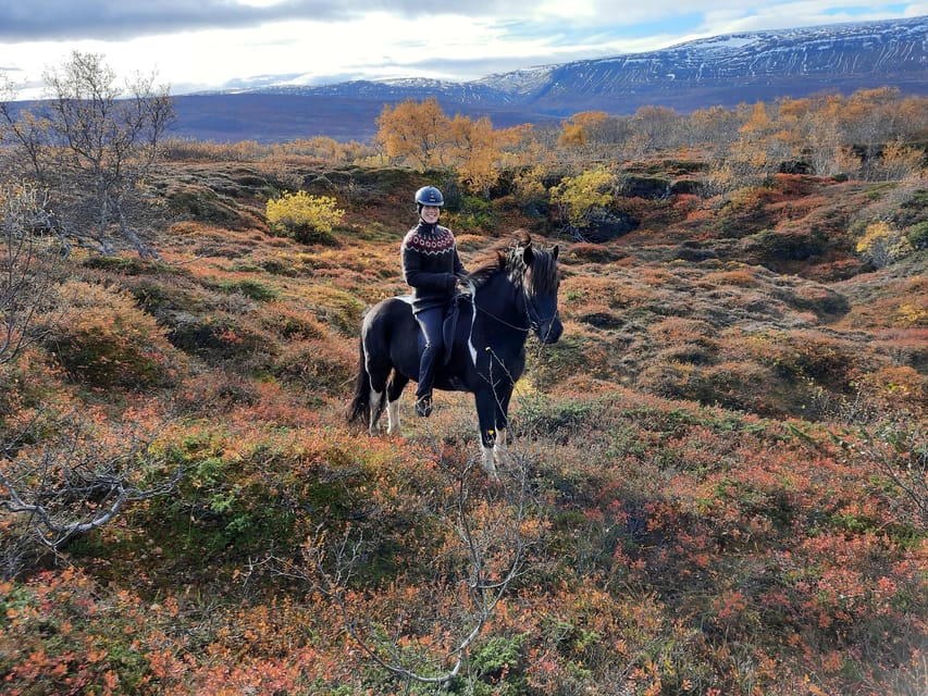 North Iceland: Horseback Riding Tour - What “beginner-friendly” really means here