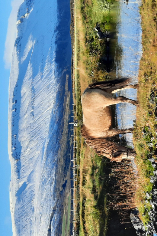 North Iceland: Horseback Riding Tour - When to arrive, what to wear, and how to stay comfortable