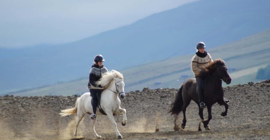 North Iceland: Horseback Riding Tour - Price and logistics: what you’re paying for, and what you must handle