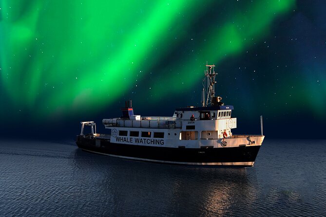 Northern Lights Boat Cruise from Reykjavik - Whales and dolphins: the “look down” part of the night