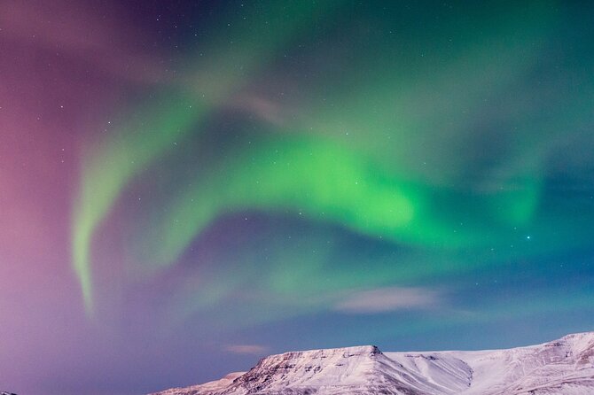 Northern Lights Boat Cruise from Reykjavik - The aurora hunt: how crew spotting changes your results