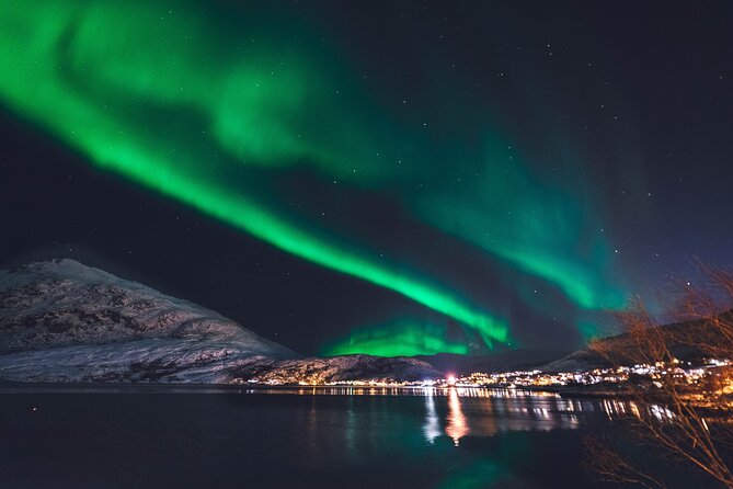 Northern Lights Boat Cruise from Reykjavik - Who this tour suits best, and who should rethink it