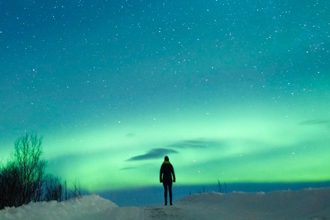 Northern Lights Bus Tour from Reykjavik with Hot Chocolate - Hot chocolate: small comfort with real payoff