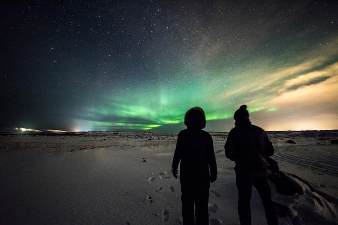 Northern Lights Bus Tour from Reykjavik with Hot Chocolate - Price and value: what $76 buys you in the real world