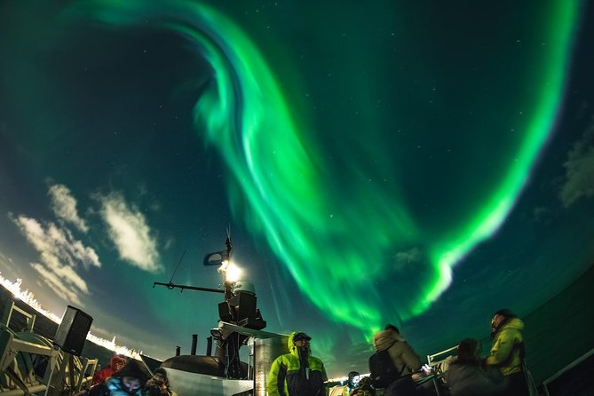Northern Lights by Boat with a Backup Plan from Reykjavik - Faxaflói Bay at night, and what you are really buying