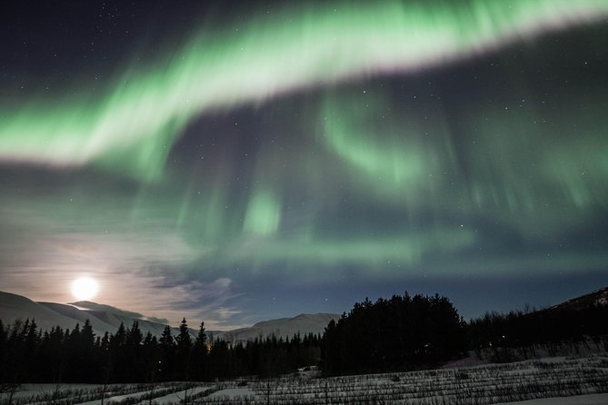 Northern Lights Classic MiniBus Tour from Akureyri - The Northern Lights Hunt, From Akureyri Out Into Darker Sky