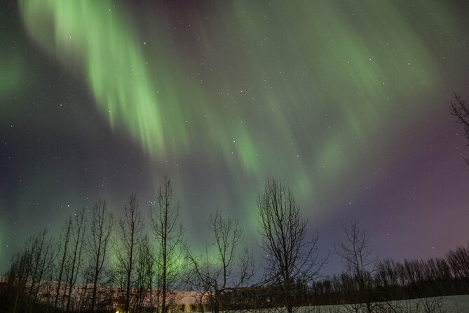 Northern Lights Classic MiniBus Tour from Akureyri - Guides Who Hunt, Not Just Guides Who Talk