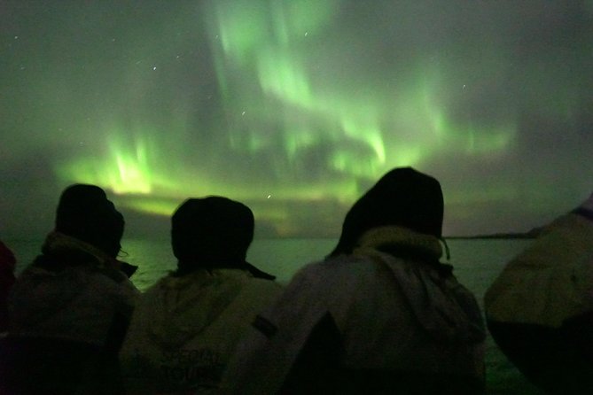 Northern Lights Cruise from Reykjavik Including Photos - Weather Reality: When You Might See the Aurora (and When You Won’t)