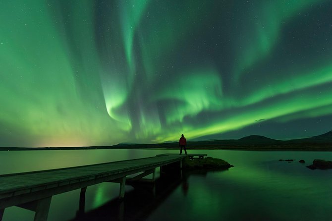 Northern Lights Guided Bus Tour from Reykjavik - The experience outside: cameras help, clouds happen, and bright moon can matter