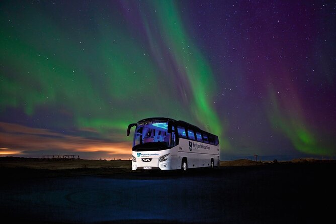Northern Lights Guided Bus Tour from Reykjavik - Group size, comfort, and the bathroom question