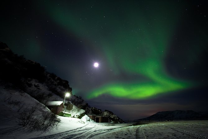 Northern Lights Minibus Tour with Hot Cocoa, Blankets & Photos - Price and What You Actually Get for $106.44