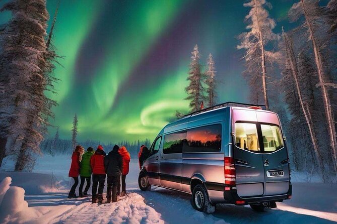 Northern Lights Small Group Tour from Reykjavik - Weather, light pollution, and what to expect when it is not perfect