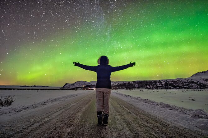 Northern Lights Small Group Tour from Reykjavik - Price and value: is $117.29 a fair deal?