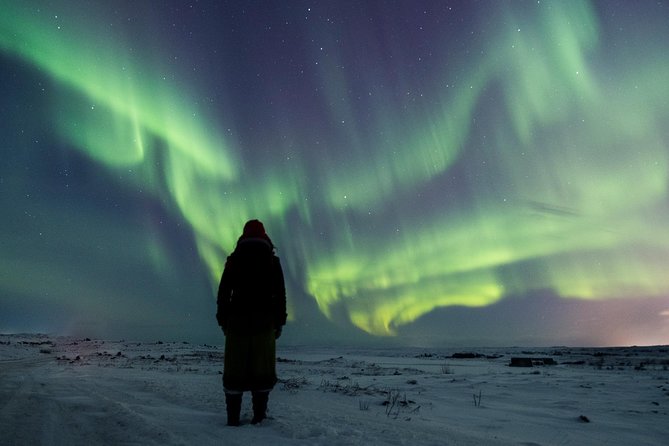 Northern Lights Small Group Tour from Reykjavik with Free Photos - Chasing the Northern Lights From Reykjavik, Without the DIY Stress