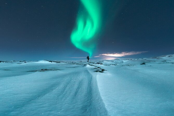 Northern Lights Small-Group Tour with Free Photos & Hot Chocolate - Price and value: is $118.27 worth it?