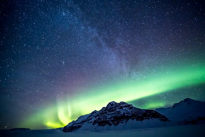 Northern Lights Small-Group Tour with Free Photos & Hot Chocolate - Who should book this Northern Lights tour, and who should skip it