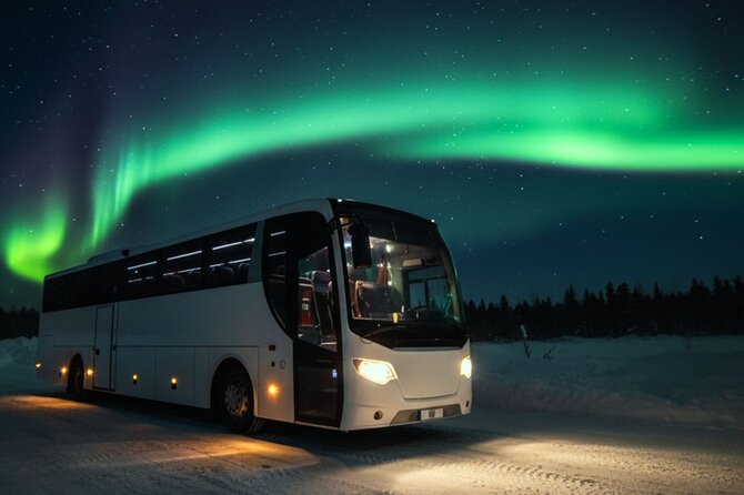 Northern Lights Tour: Cozy Night Adventure with Hot Chocolate - Timing: When to Book for Better Odds