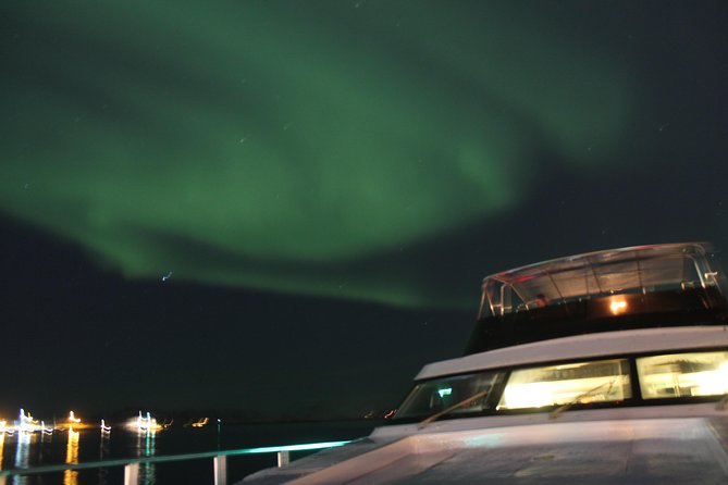 Northern Lights Yacht Cruise - Viðey Island and the Imagine Peace Tower Moment