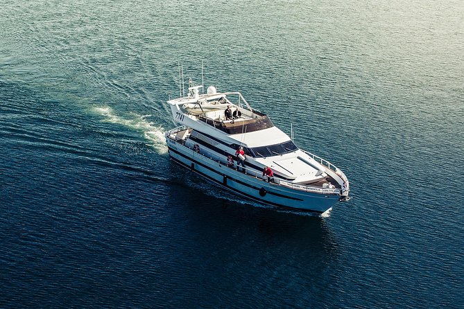 Northern Lights Yacht Cruise - When the Sky Turns Green: How the Crew Really Runs the Hunt