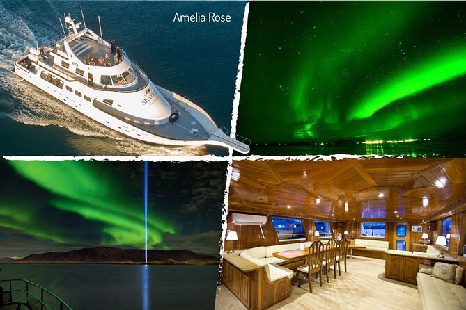 Northern Lights Yacht Cruise in Reykjavik - Price and value at $94, for aurora plus wildlife