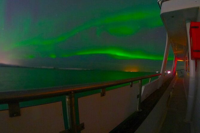 Northern Lights Yacht Cruise in Reykjavik - The aurora comes with a bonus: whales, dolphins, and porpoises