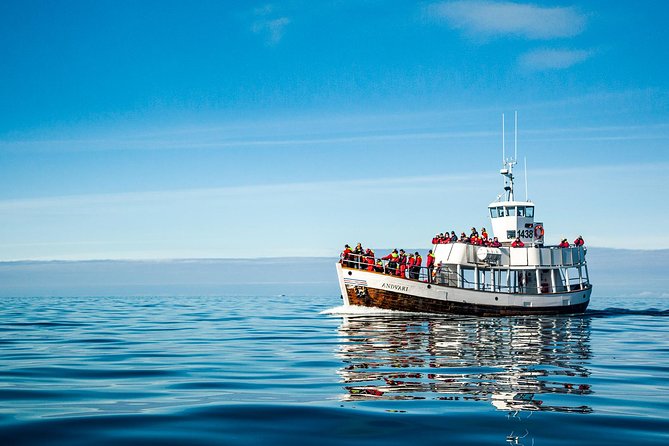 Original Carbon Neutral Whale Watching Tour from Húsavík - Price and value: what you’re paying for, and what to watch