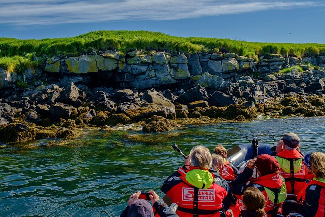 Premium Small-Group Puffin & Bird Watching tour from Reykjavík - Gear and comfort: included overalls, wind protection, and camera help