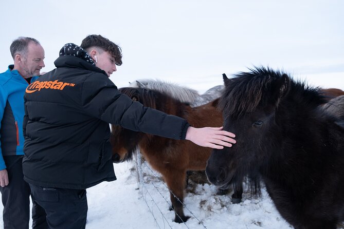 Private 3 days Tour and Northen Lights Experience with Photography with Luke - Day 3 South Coast waterfalls and black sand: Seljalandsfoss to Reynisfjara, plus a glacier