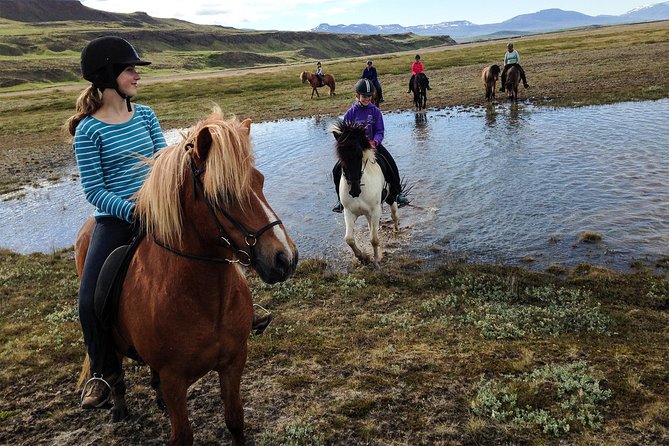 Private 3-Hour Horseback Riding Tour - First steps at Hestasport in Varmahlíð