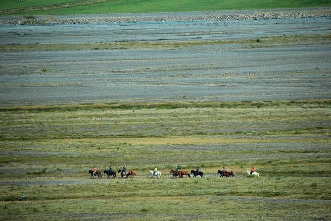 Private 3-Hour Horseback Riding Tour - Guides and supervision: what good leadership looks like