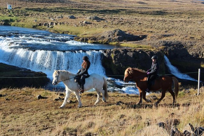 Private 3-Hour Horseback Riding Tour - Price and value: what $230.45 really covers