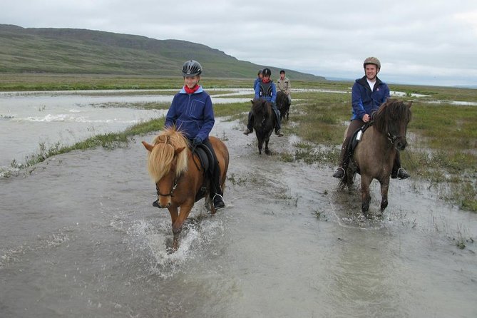 Private 3-Hour Horseback Riding Tour - Who should book this private Akureyri-area horseback tour