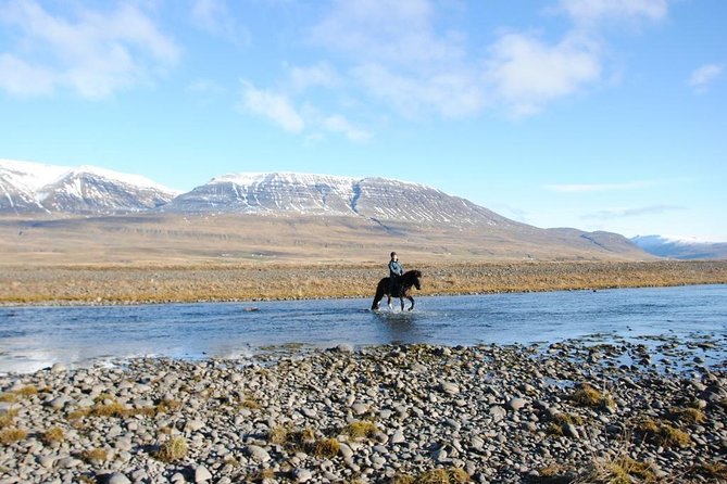 Private 3-Hour Horseback Riding Tour - Waterfall to glacier river scenery, and what you might see