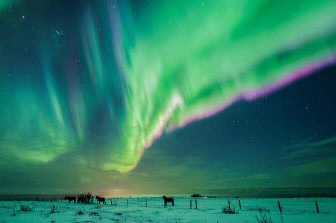 Private Aurora Hunt with Photos in Super Defender - Who This Aurora Hunt Fits Best
