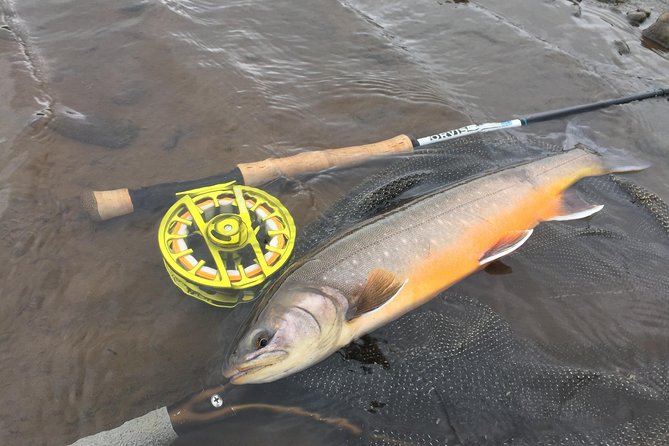 Private Fishing Tour from Reykjavik - Arctic Char and Brown Trout - Price and value: what $960 per person buys you