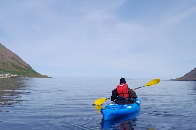 Private: Guided kayak tour in Siglufjörður / Siglufjordur. - What you’ll actually do on this 2.5-hour private kayak outing