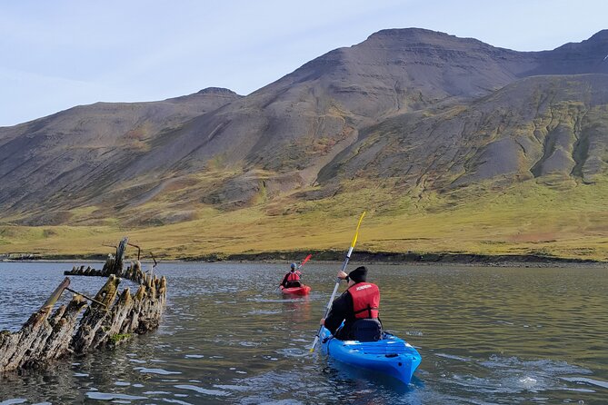 Private: Guided kayak tour in Siglufjörður / Siglufjordur. - Safety gear and drysuit comfort, the real value here