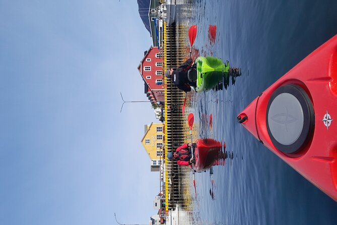 Private: Guided kayak tour in Siglufjörður / Siglufjordur. - What the guide teaches you in English, and why it sticks