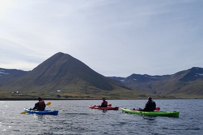 Private: Guided kayak tour in Siglufjörður / Siglufjordur. - How the harbor-to-fjord pacing feels in real life