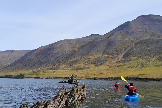 Private: Guided kayak tour in Siglufjörður / Siglufjordur. - The first minutes on the water: how you get confident fast