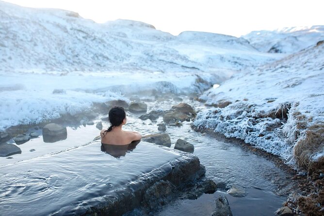 Private Half Day Iceland Tour with Guide and Vehicle - A private half-day in Reykjavik, with a plan that changes with the weather